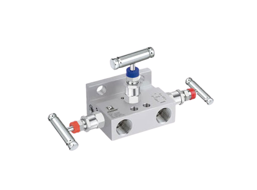 MANIFOLD VALVE